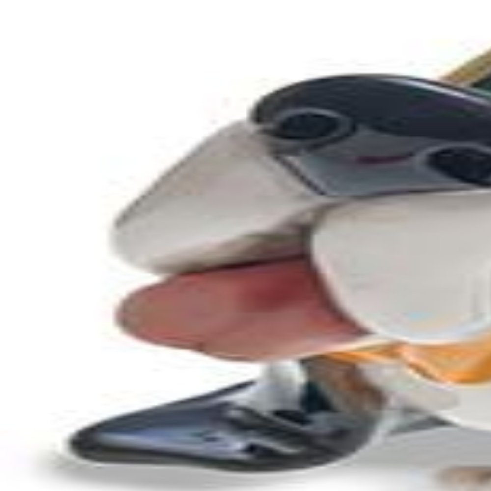 Bassett Hound Eyeglass Holder